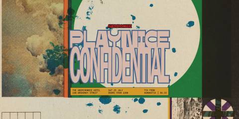 PLAYNICE CONFIDENTIAL 007