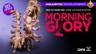 Morning Glory Halloween