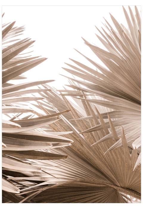 Palms On Oxford
