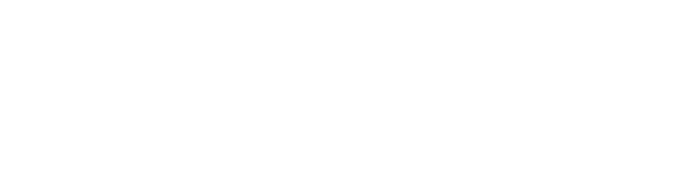 Paddo Inn logo