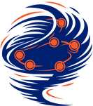 Wolfhound Function and Event Space logo