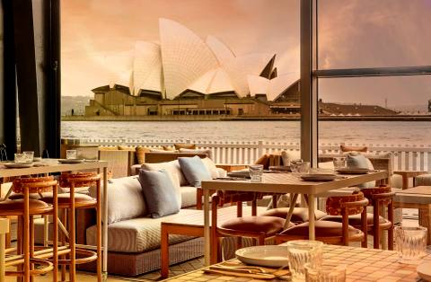Cruise Bar