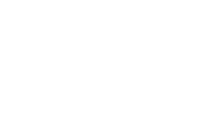 The Cave Inn logo