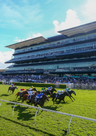 Royal Randwick Racecourse logo