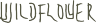 Village logo