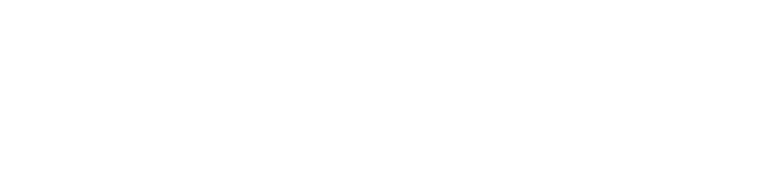 Websters logo