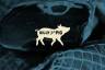 Billy The Pig logo