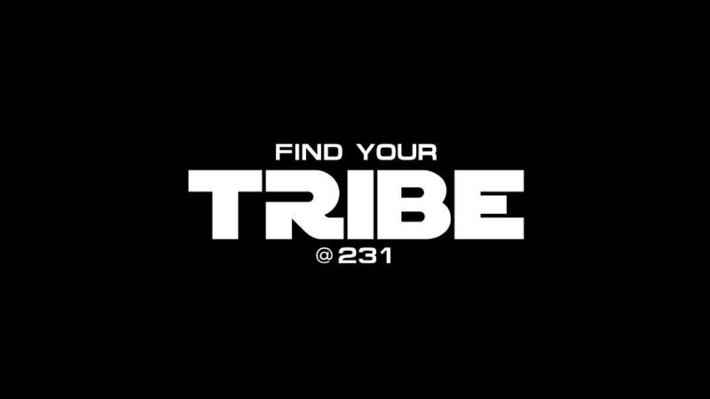 TRIBE at 231