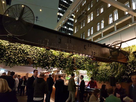 Taylor's Rooftop