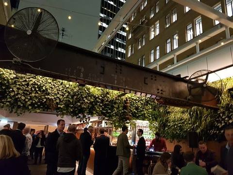 Taylor's Rooftop