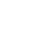 4 Pines Brewing Co logo